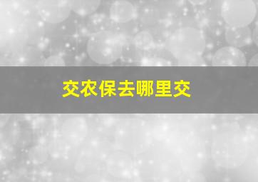 交农保去哪里交