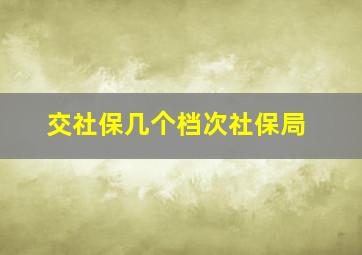 交社保几个档次社保局