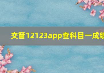 交管12123app查科目一成绩