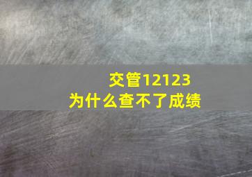 交管12123为什么查不了成绩