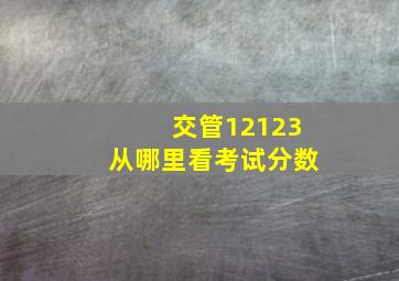 交管12123从哪里看考试分数