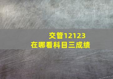 交管12123在哪看科目三成绩