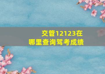 交管12123在哪里查询驾考成绩