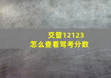 交管12123怎么查看驾考分数