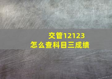 交管12123怎么查科目三成绩