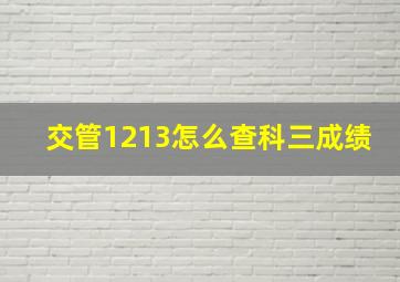 交管1213怎么查科三成绩