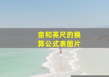 亩和英尺的换算公式表图片