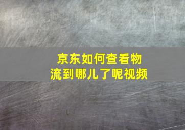 京东如何查看物流到哪儿了呢视频