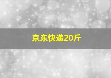 京东快递20斤