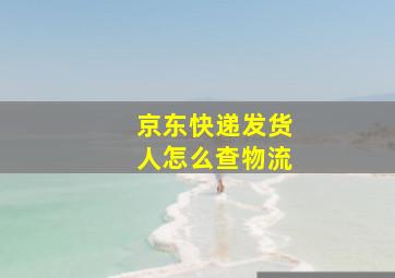 京东快递发货人怎么查物流