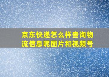 京东快递怎么样查询物流信息呢图片和视频号