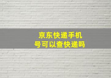 京东快递手机号可以查快递吗