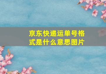 京东快递运单号格式是什么意思图片