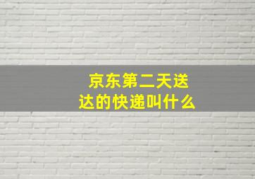 京东第二天送达的快递叫什么