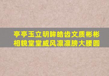 亭亭玉立明眸皓齿文质彬彬相貌堂堂威风凛凛膀大腰圆