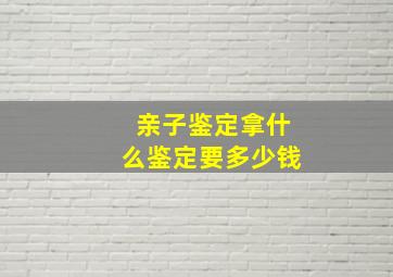 亲子鉴定拿什么鉴定要多少钱