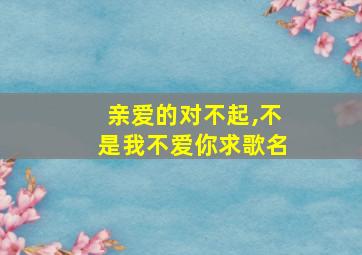 亲爱的对不起,不是我不爱你求歌名