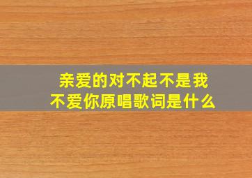 亲爱的对不起不是我不爱你原唱歌词是什么