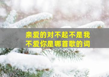 亲爱的对不起不是我不爱你是哪首歌的词