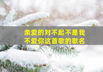 亲爱的对不起不是我不爱你这首歌的歌名