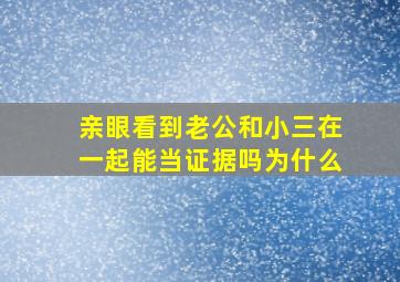 亲眼看到老公和小三在一起能当证据吗为什么