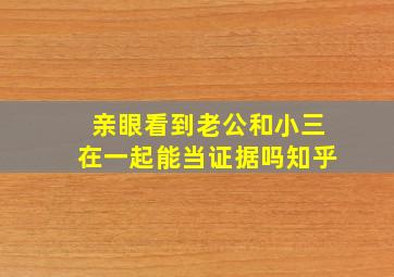 亲眼看到老公和小三在一起能当证据吗知乎