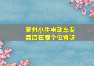 亳州小牛电动车专卖店在哪个位置呀