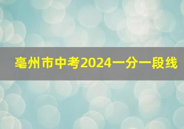 亳州市中考2024一分一段线