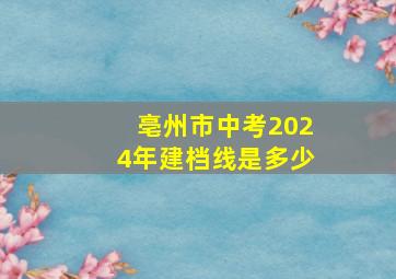 亳州市中考2024年建档线是多少