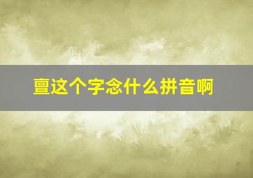 亶这个字念什么拼音啊