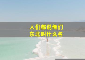 人们都说俺们东北叫什么名