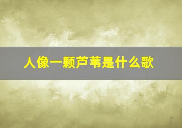 人像一颗芦苇是什么歌