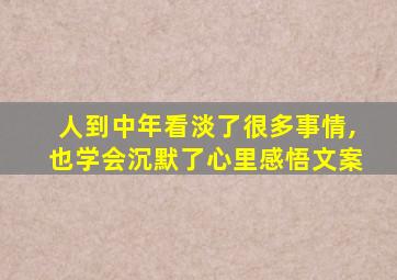 人到中年看淡了很多事情,也学会沉默了心里感悟文案