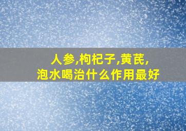 人参,枸杞子,黄芪,泡水喝治什么作用最好