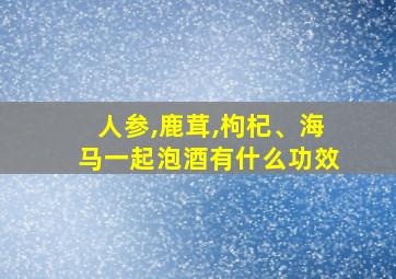 人参,鹿茸,枸杞、海马一起泡酒有什么功效