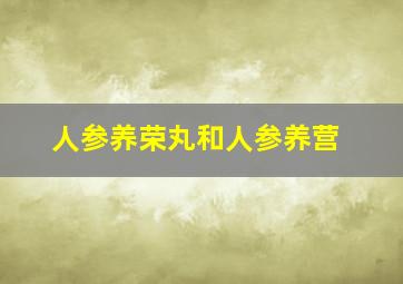 人参养荣丸和人参养营