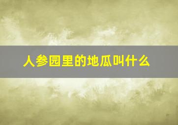 人参园里的地瓜叫什么