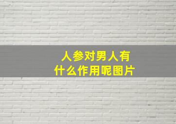 人参对男人有什么作用呢图片