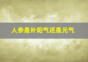 人参是补阳气还是元气