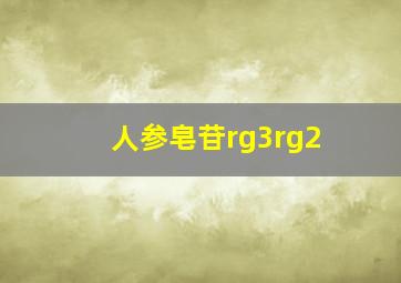 人参皂苷rg3rg2