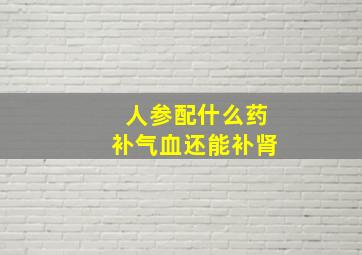 人参配什么药补气血还能补肾