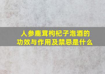 人参鹿茸枸杞子泡酒的功效与作用及禁忌是什么