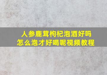 人参鹿茸枸杞泡酒好吗怎么泡才好喝呢视频教程