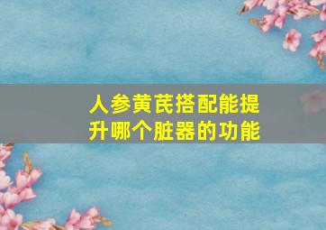 人参黄芪搭配能提升哪个脏器的功能