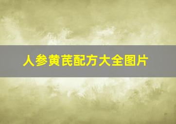 人参黄芪配方大全图片