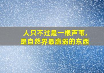 人只不过是一根芦苇,是自然界最脆弱的东西