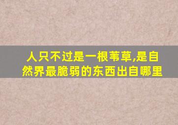 人只不过是一根苇草,是自然界最脆弱的东西出自哪里