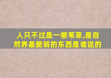 人只不过是一根苇草,是自然界最脆弱的东西是谁说的