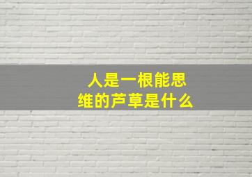 人是一根能思维的芦草是什么