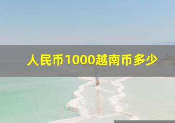 人民币1000越南币多少